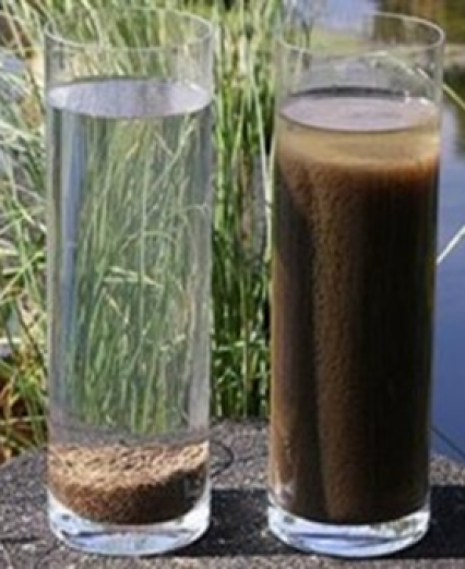 Nuôi cấy vi sinh<br>cho hệ thống xử lý nước thải