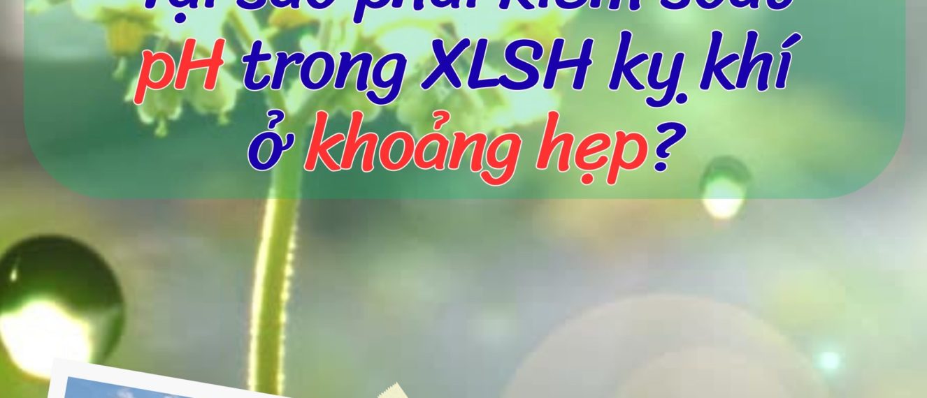 pH trong xử lý sinh học kỵ khí