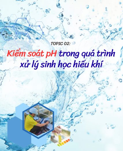 pH trong xử lý sinh học hiếu khí