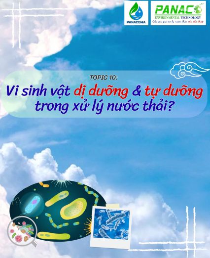 Vi sinh vật dị dưỡng & tự dưỡng