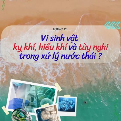 vi sinh vật kỵ khí, hiếu khí & tùy nghi