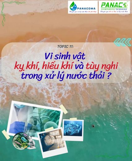 vi sinh vật kỵ khí, hiếu khí & tùy nghi