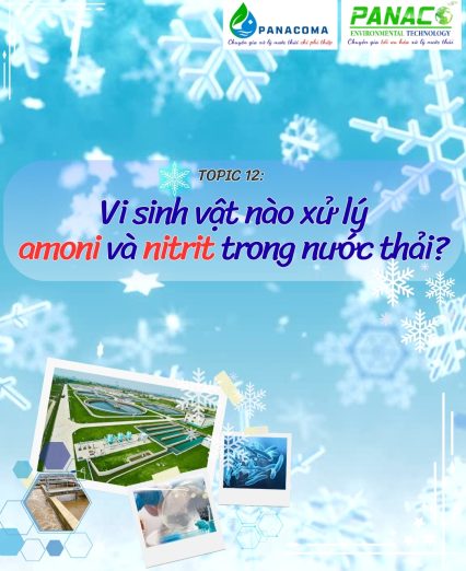 Vi sinh vật nào xử lý Amoni & Nitrit ?