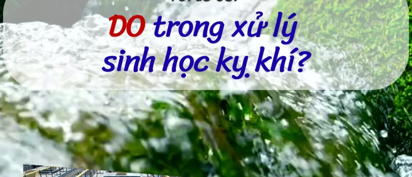 DO trong xử lý sinh học hiếu khí