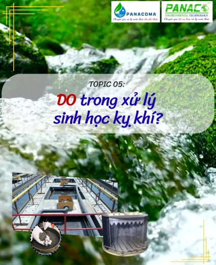 DO trong xử lý sinh học hiếu khí
