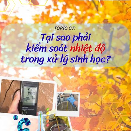 Nhiệt độ trong xử lý sinh học