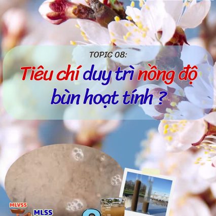 Duy trì nồng độ bùn hoạt tính