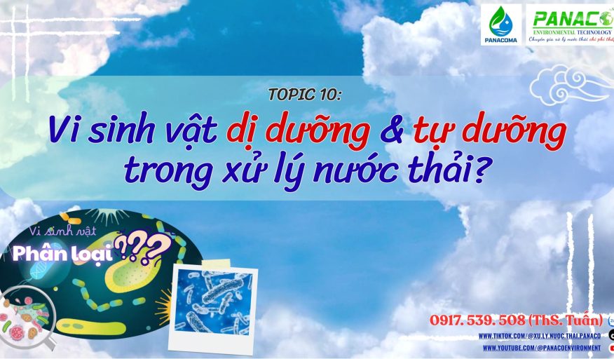 VSV dị dưỡng và tự dưỡng trong xử lý nước thải