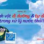 VSV dị dưỡng và tự dưỡng trong xử lý nước thải
