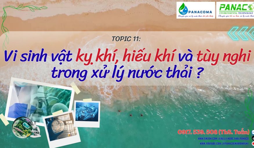VSV kỵ khí, hiếu khí và tùy nghi trong xử lý nước thải