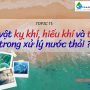 VSV kỵ khí, hiếu khí và tùy nghi trong xử lý nước thải