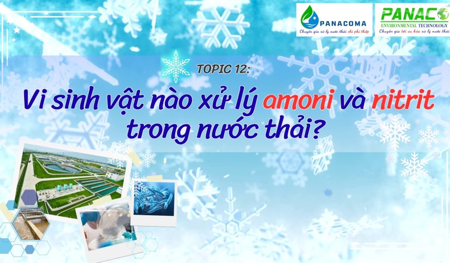 VSV nào xử lý AMONI & NITRIT trong nước thải? -Topic 12