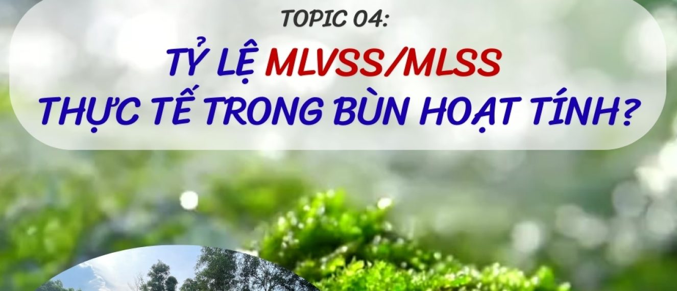 Tỷ lệ MLVSS/MLSS trong bùn hoạt tính