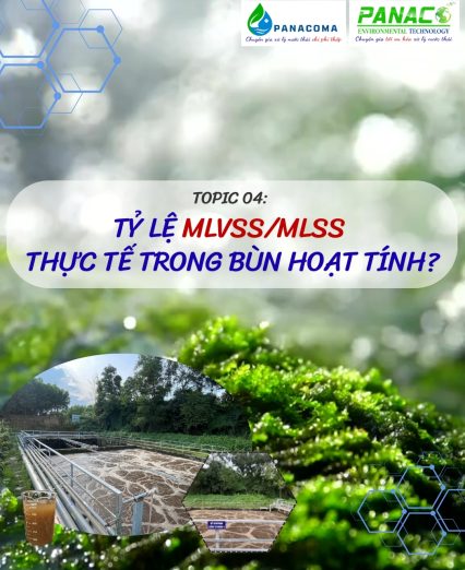 Tỷ lệ MLVSS/MLSS trong bùn hoạt tính