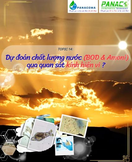 Dự đoán chất lượng nước (BOD & Amoni) qua quan sát kính hiển vi ?