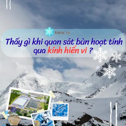 Bạn sẽ thấy gì khi quan sát bùn hoạt tính qua kính hiển vi?