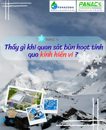Bạn sẽ thấy gì khi quan sát bùn hoạt tính qua kính hiển vi?